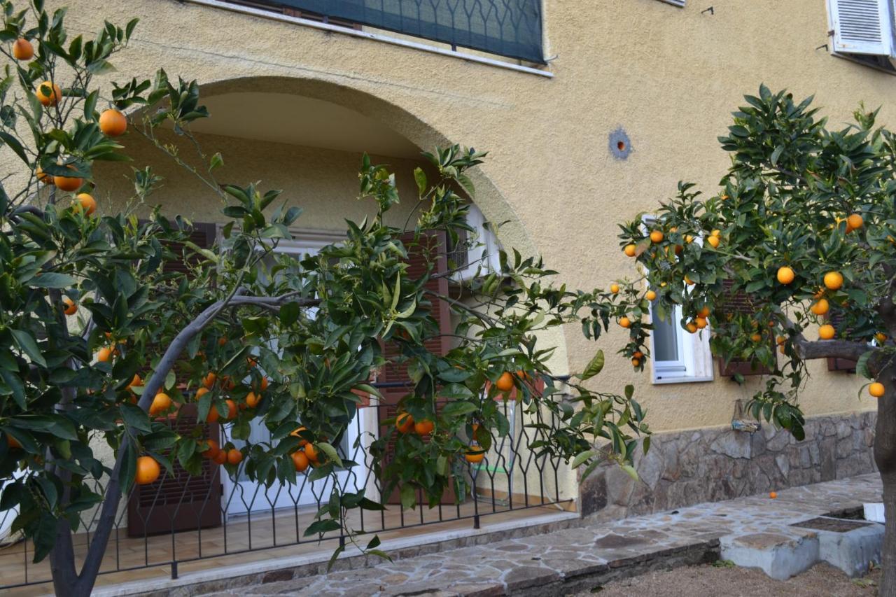 Etesia Bed & Breakfast Olbia Dış mekan fotoğraf